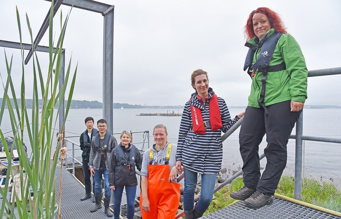 Auf der Fischzuchtanlage in der Kieler Förde unterzieht das Forschungsteam seine neue Netzbeschichtung einem Langzeittest. Von vorne: Martina Baum (CAU), Anna Gapeeva (CAU), Yvonne Rößner (Kieler Lachsforelle), Ala Cojocaru (Phi-Stone AG), Haoyi Qiu (CAU) und Kang Feng (CAU).
