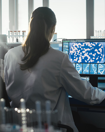 ZIM-Projekt DMChoch2